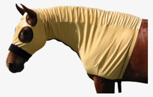 Slinky Hood - Stallion #4302336