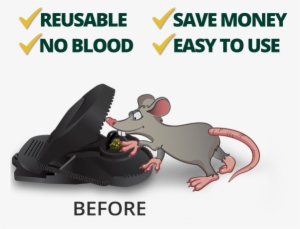 Minimice Mouse Trap - Rat #4302480