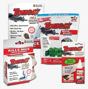 Tomcat® Mouse Defense Kit - Tomcat Attractant Gel Mouse Trap #4302800