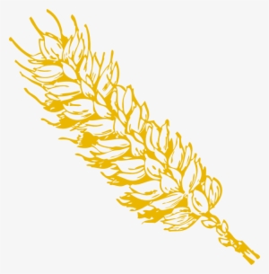 Wheat Clipart Padi #4303345 Wheat Clipart Padi #4303345