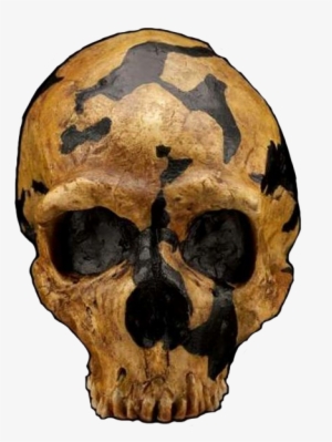 The Ten Neanderthals At The Site Were Found Within - Shanidar 1 #4303600