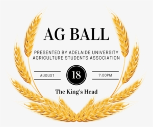 Ag Ball - Wheat Clipart Transparent Background #4303667