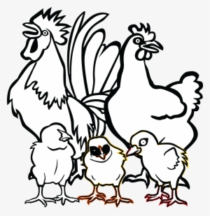Free Clipart - Drawing Chicken Family Png #4305343