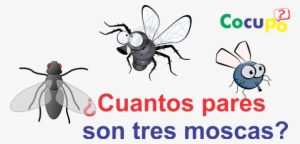 Cuantos Pares Son 3 Moscas - Budget Tote.drawing Fly. Tote Bag #4305765