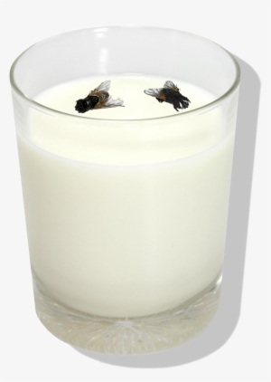 Copodeleite - House Flies #4306004