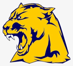 Whitmer's Abbigail Dorn Signed To Run Cross Country - Whitmer High School #4306893