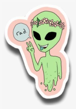 Report Abuse - Iphone #4308454