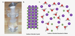 When An Ionic Salt, Such As Sodium Chloride, Shown - Salt Dissolving In Water #4308676