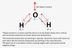 H2o Net Dipole Moment - Momento Dipolar Del Agua #4308699