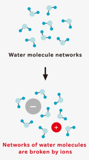 We Intend To Understand Several Phenomena In Body Through - Graphic Design #4309002