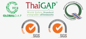 Moreover, Our Company Has Focused More On Studying - Iso 9001 #4309024