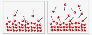Dynamic Equilibrium Between Liquid And Vapor Water - Water Vapor Molecules #4309098