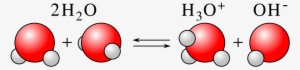 The Hydroxide Can React With The Hydronium Ion To Form - Acids And Bases Molecules #4309213