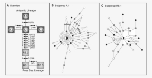 Image Freeuse Stock Relationships Among The Hvri - Diagram #4310154