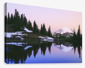 Mount Rainier Reflected In A Pond At Sunset Near Tipsoo #4311814