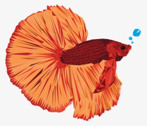 Betta - Illustration #4312538