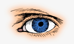 Blue Eyes Clipart Eyeball - Eye Clip Art #4312578