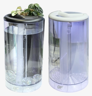 Betta Flora - Ocean Free Betta Flora Tank #4312648