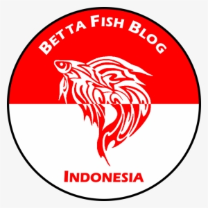 Betta Food Variety - Circle #4312959