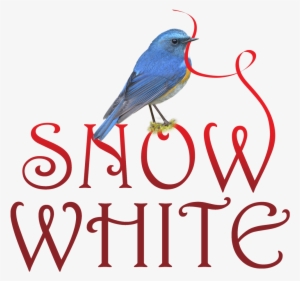 Sw Logo Copy - Psa Essentials Harrington Stamp Or Embosser #4314244