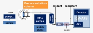 Mercury In All Its Molecular Forms Is Toxic - Diagram #4314277