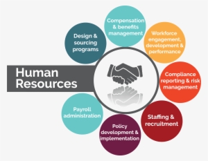 Macc Provides The Expertise Of A Full Human Resource - Human Resources #4315125