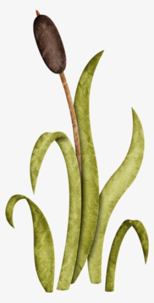 Jss Happycamper Cattail 2 - Illustration #4315127