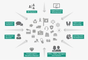 Human Resources Recruitment Infographic - Graphic Design #4315755