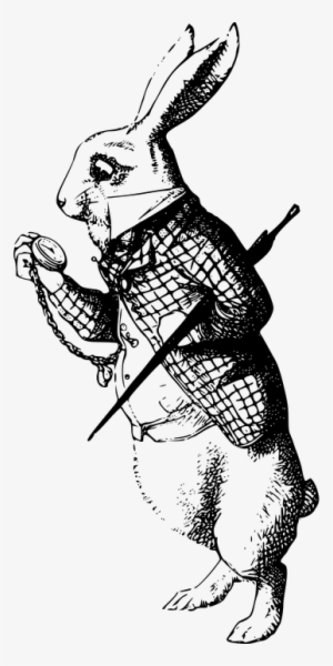 Alice In Wonderland Rabbit #4316606