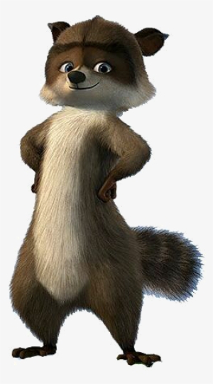 Rj - Over The Hedge Meme #4317264