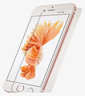 Prime Clear Tempered Glass Shield #4317384