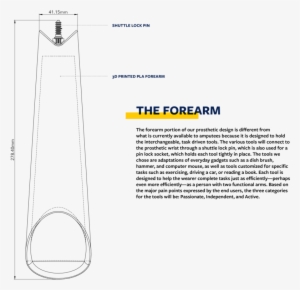 Forearm #4318675