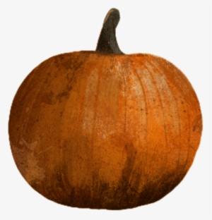 Grunge Brushes For Procreate Is A Brand New Collection - Pumpkin #4319300