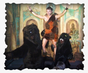 The Jungle Book #4319702