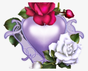 Roses For You Sticker Pack For Imessage - Imessage Flower #4319832