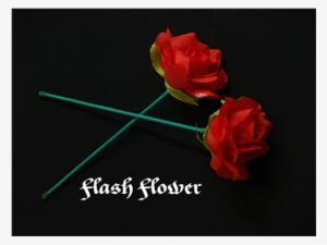 Red 2 Pack - Flash Flower (2 Pack) By Gd Wu #4320037