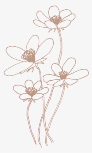 Color-cosmos - Portable Network Graphics #4320082