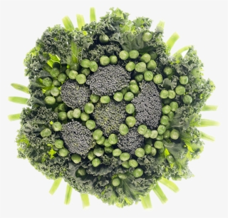 Sensory Based Food Education Given To 3 5 Year Old - Food #4320958