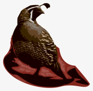 Vector Illustration Of Quail Bird Farm-raised For Table - Common Quail #4321549