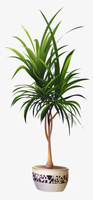 1 - Clipart Palm Potted #4321825