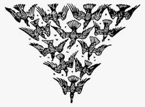 How To Set Use Triangle Of Birds Clipart - Triangle Of Birds #4321850
