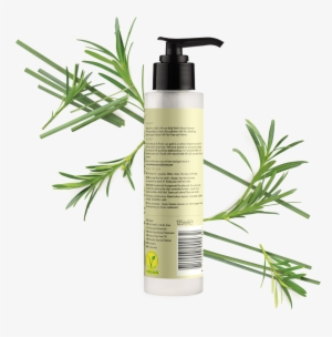 Love Beauty Planet Tea Tree Oil & Vetiver Face Cleansing - Love Beauty And Planet Rosemary #4322236