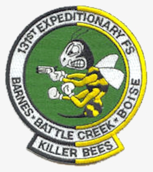 131st Expeditionary Fighter Squadron Operation Allied - California #4323215