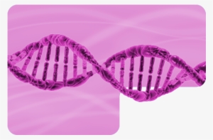 If A Person Has A Relative Who Is An Alcoholic, He - Pruebas Adn #4324039