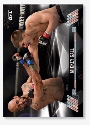 Ultimate Fighting Championship #4324578