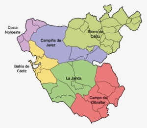 Political And Traditional Subdivisions - Provincia De Cádiz #4326729