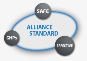 /quality Assurance - Naviance #4327072