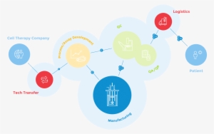 In Addition To Significant Expertise, Our Agile Gmp - Masthercell #4327151