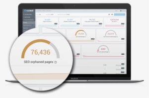 Orphaned Pages Oncrawl - Search Engine Optimization #4327261