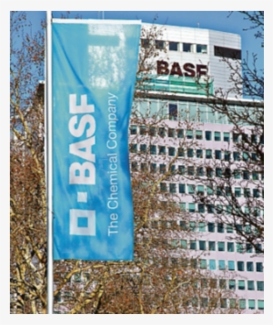 Basf Quiere Comprar División De Bayer - Banner #4327858